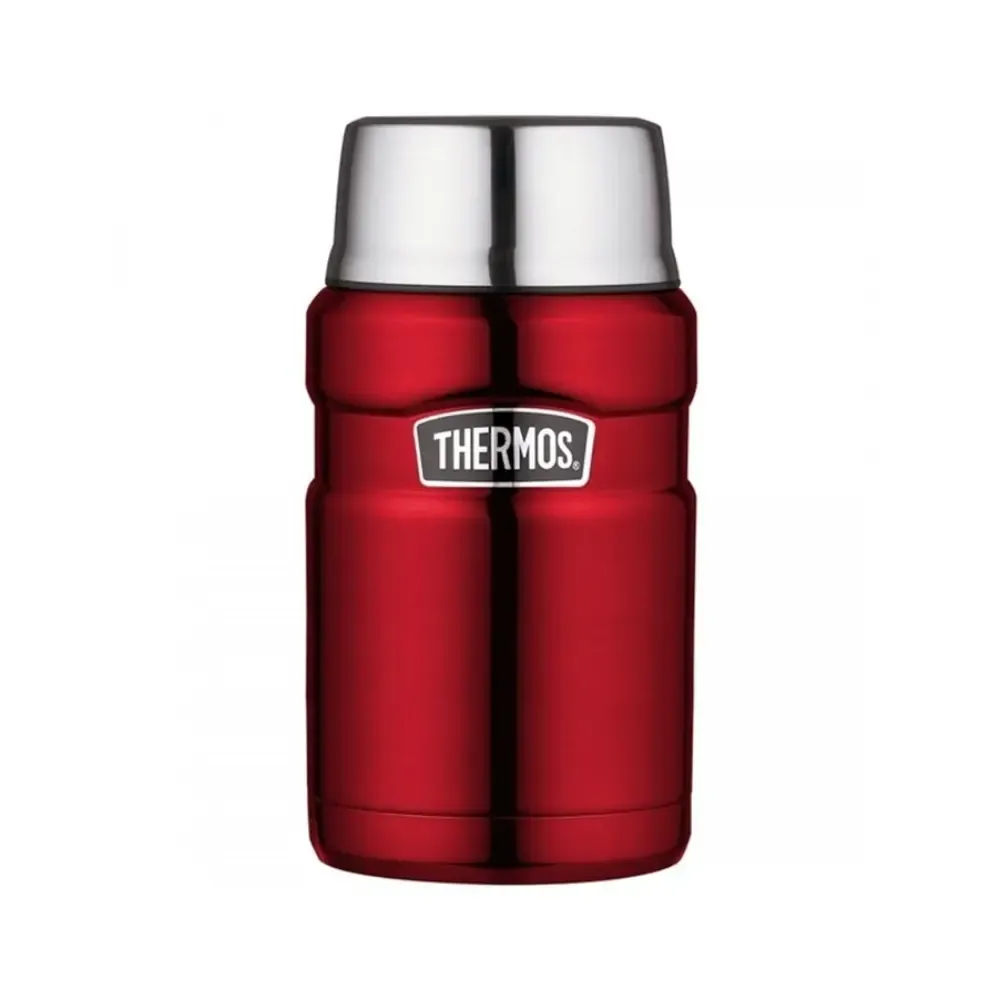 Thermos Style food flask