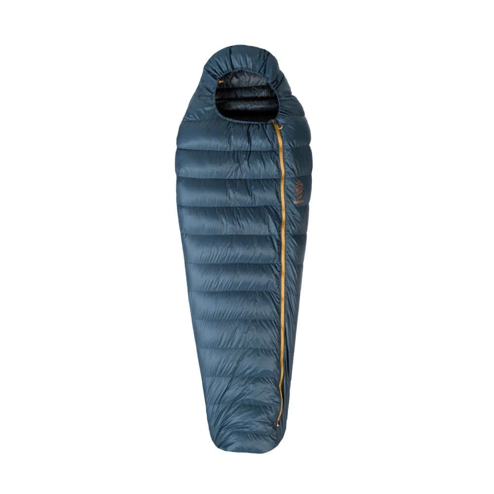 Patizon R 300